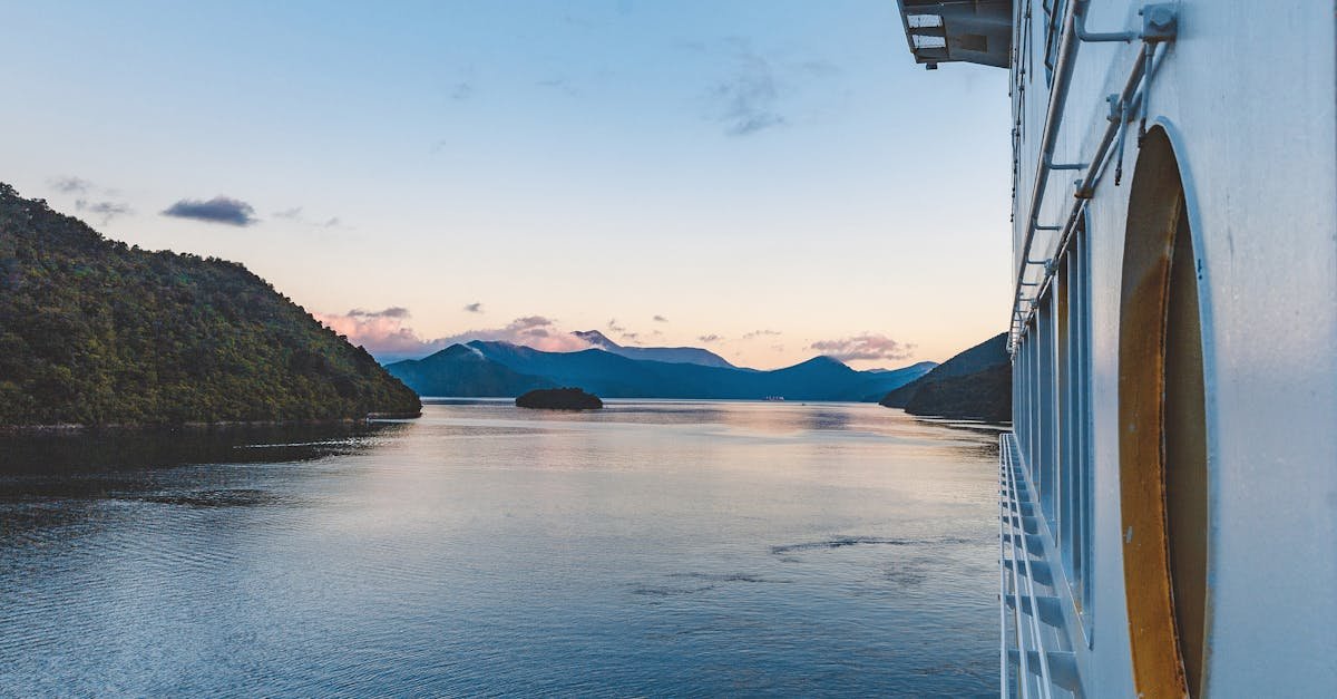 Experience serene sailing in New Zealand's stunning waters with lush landscapes and a tranquil sunrise.