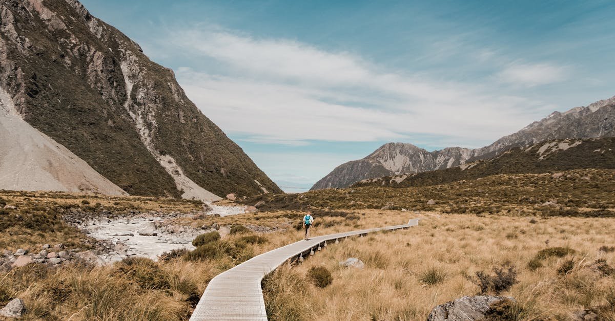 A hiker on a tranquil boardwalk path in New Zealand's mountainous landscape under a clear sky.